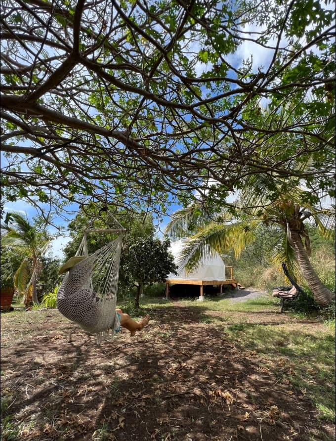 Magical Geodesic Dome at Fruit Farm near ocean - Photo 4