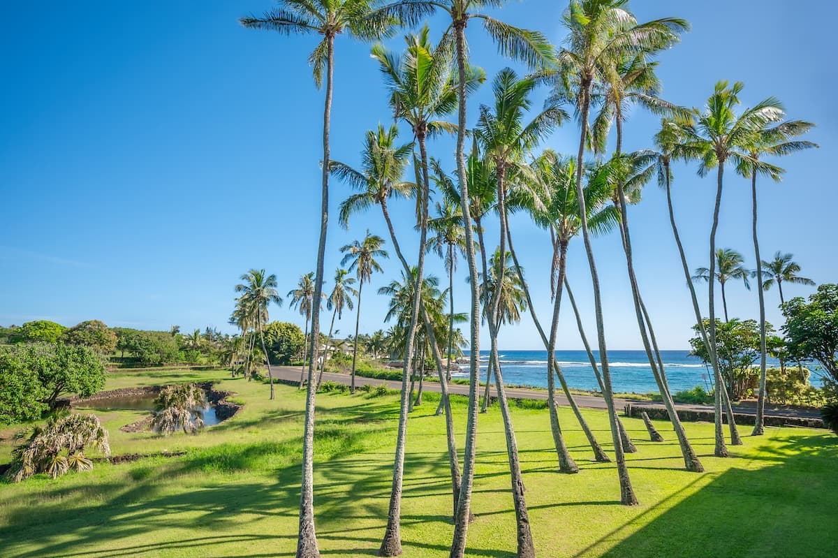 Condo in Koloa · ★4.97 · 1 bedroom · 1 bed · 1 bath - Photo 4