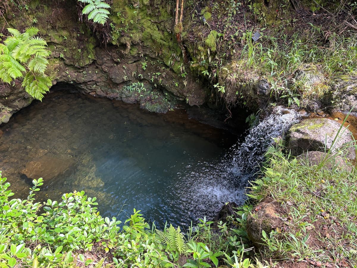 Private Waterfall Escape | Furo Tub/Outdoor Shower - Photo 3
