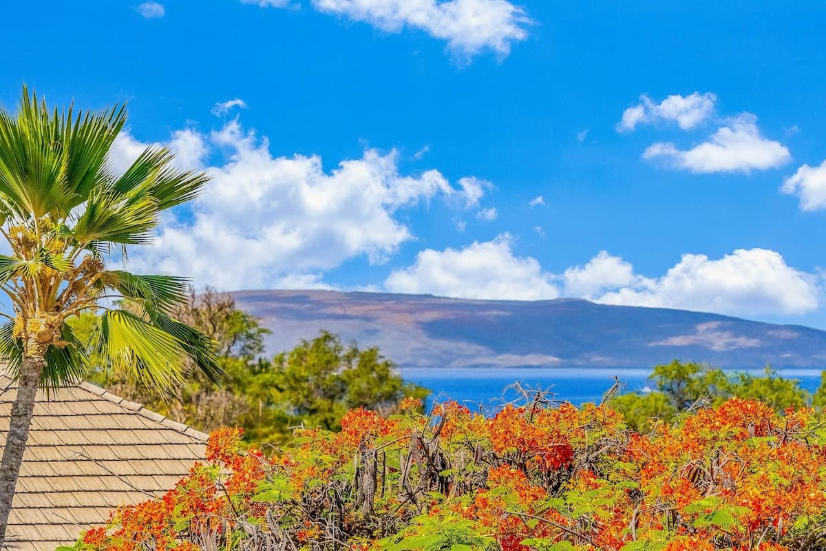 Condo in Kihei · ★4.82 · 1 bedroom · 2 beds · 2 private baths - Photo 3