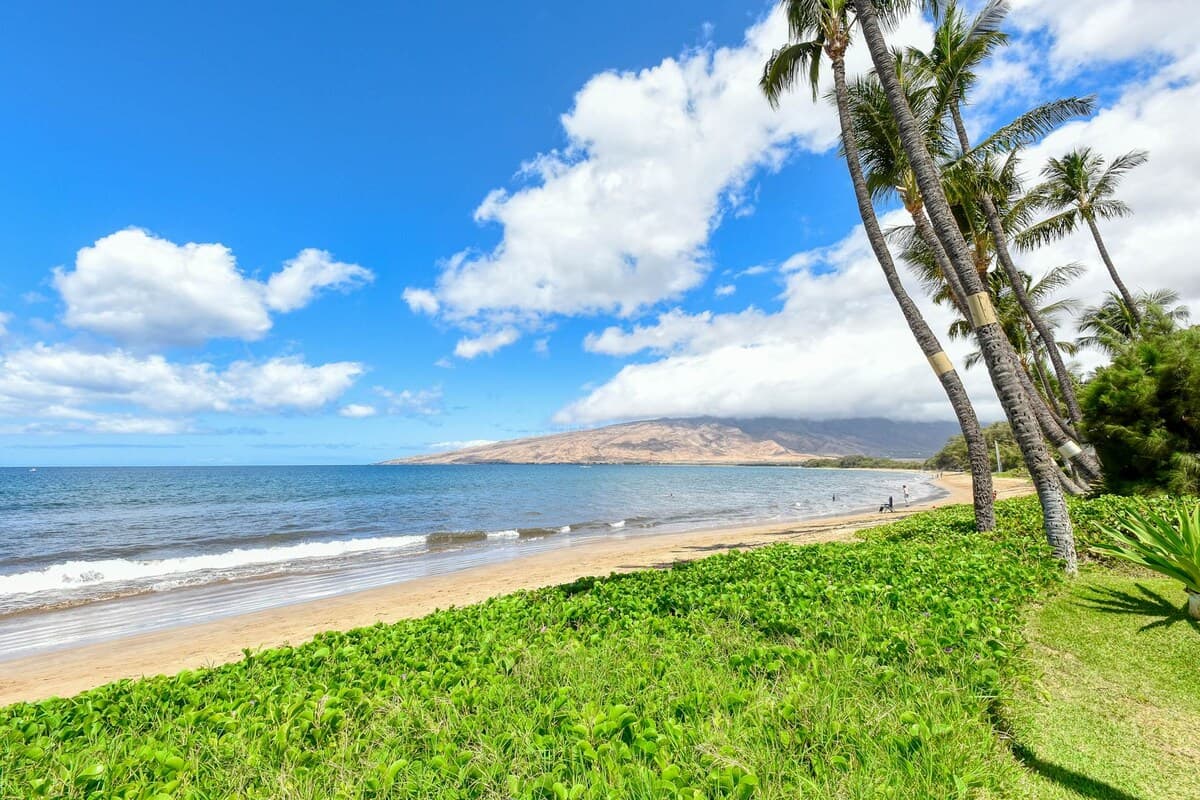 Condo in Kihei · ★4.75 · 1 bedroom · 1 bed · 1 private bath - Photo 4