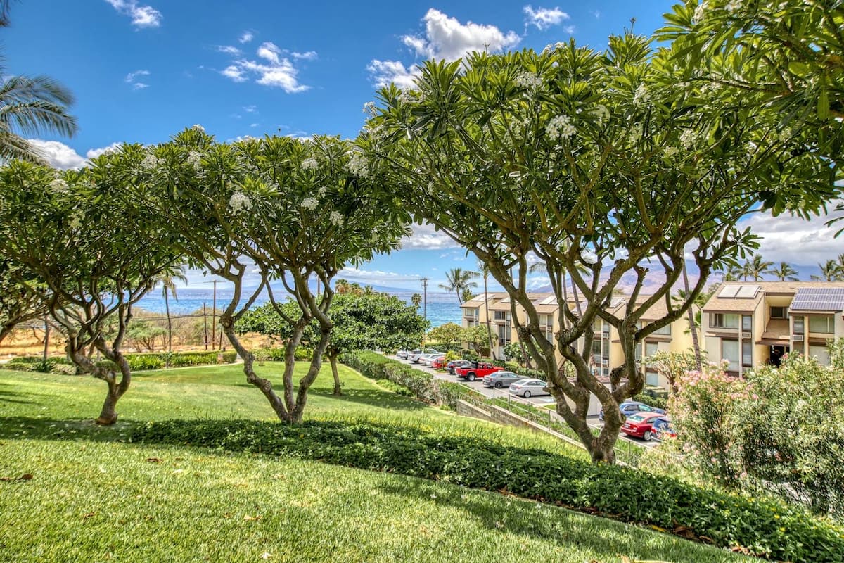Condo in Kihei · ★4.47 · 1 bedroom · 2 beds · 2 private baths - Photo 3