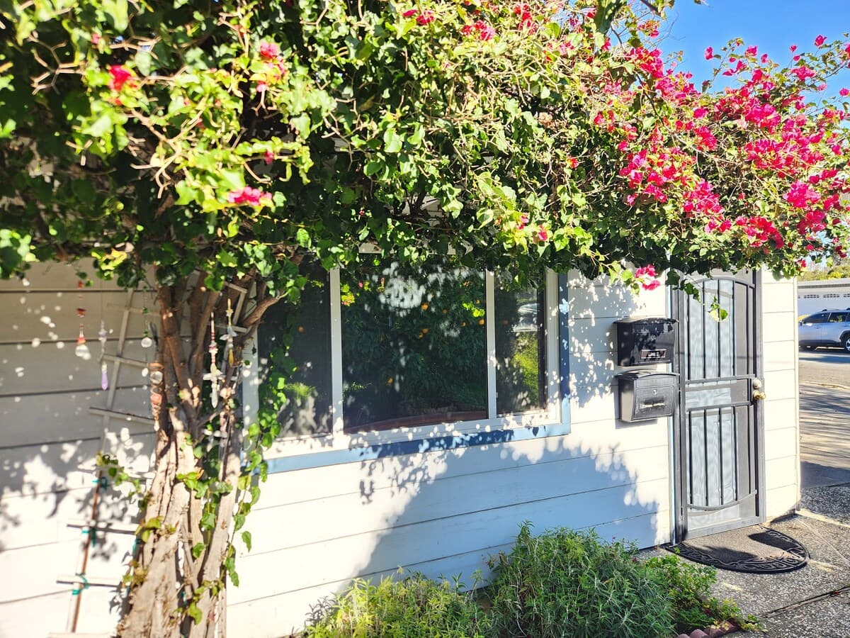 Private in-law unit on a quiet residential street - Photo 5