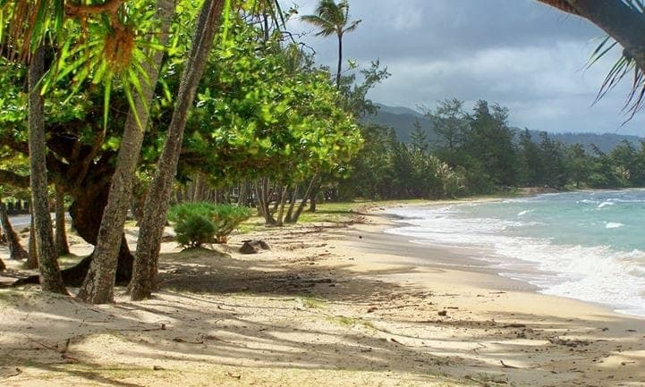 Home in Hauula · ★4.8 · 5 bedrooms · 9 beds · 3 private baths - Photo 2