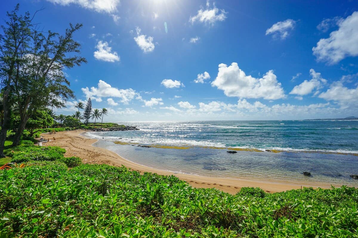 Condo in Kapaa · ★4.94 · 2 bedrooms · 3 beds · 2 private baths - Photo 1