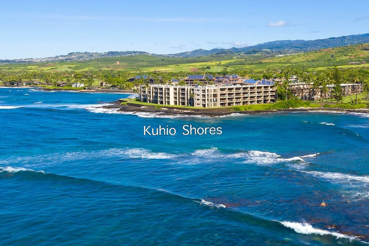 1BR Oceanfront | Balcony | Pool | - Photo 1