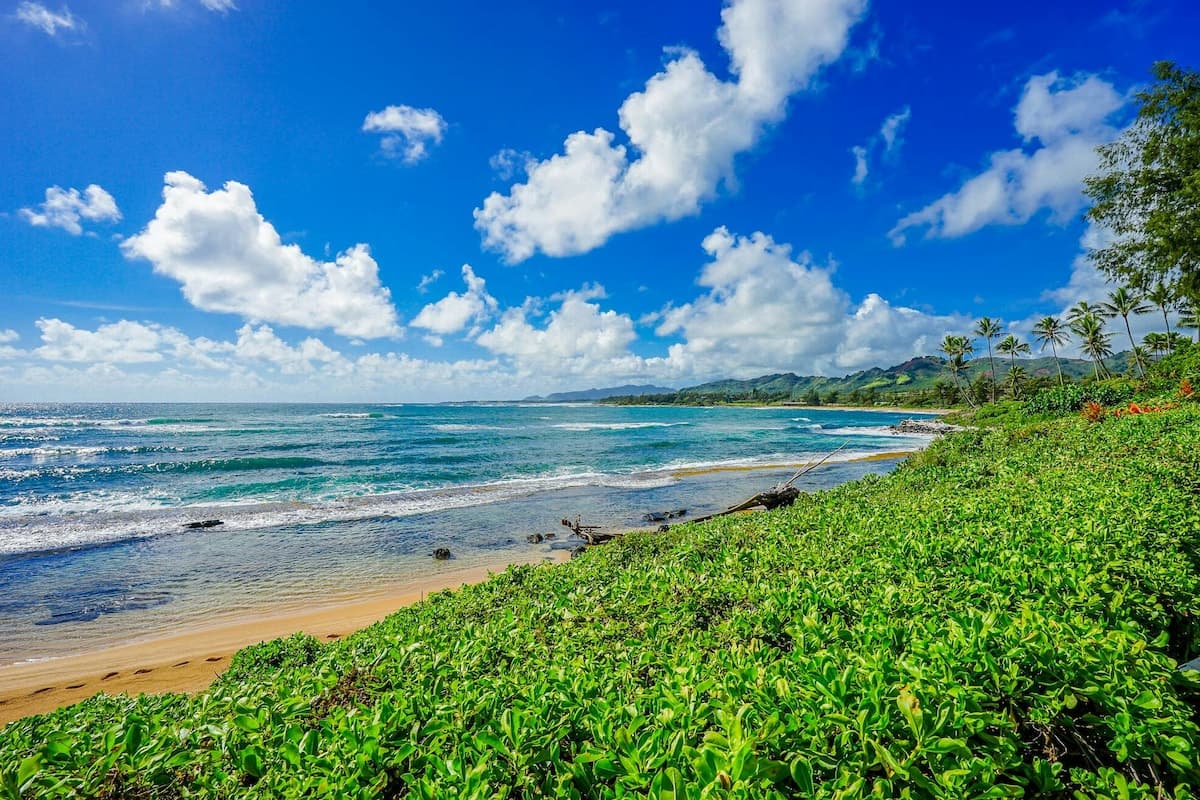 Condo in Kapaa · ★4.84 · 2 bedrooms · 3 beds · 2 private baths - Photo 1