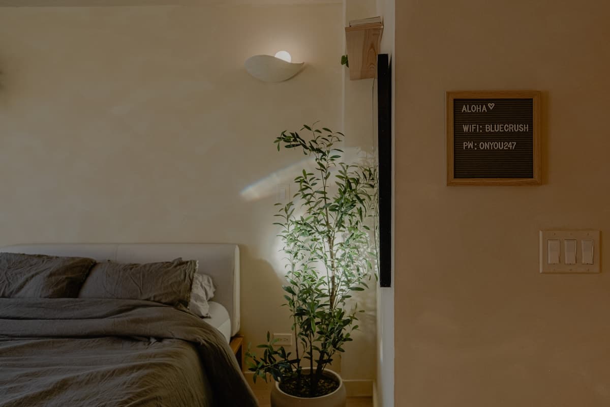 Cozy Studio in Honolulu by Beach & Surf - Photo 2