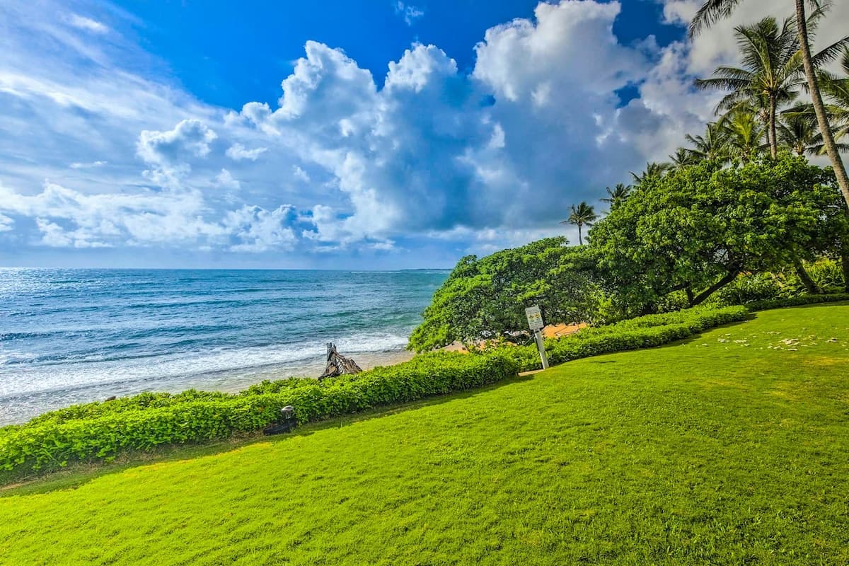 Condo in Kapaa · ★4.86 · Studio · 1 bed · 1 shared bath - Photo 1