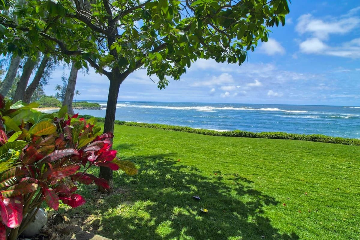 Condo in Kapaa · ★4.74 · Studio · 1 bed · 1 shared bath - Photo 3