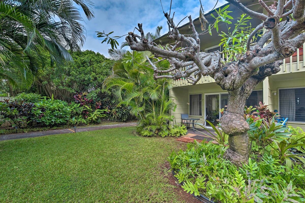 Condo in Kapaa · ★4.53 · Studio · 1 bed · 1 shared bath - Photo 2