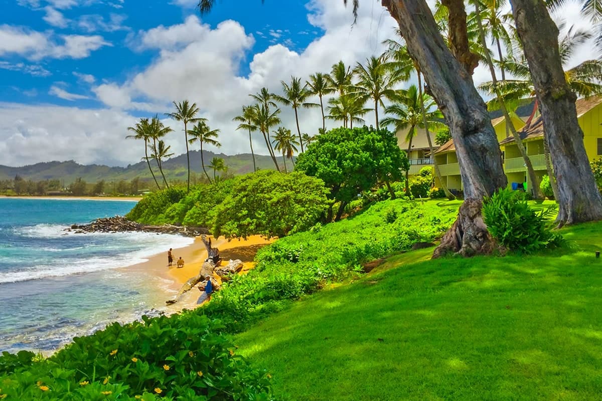 Condo in Kapaa · ★4.53 · Studio · 1 bed · 1 shared bath - Photo 3