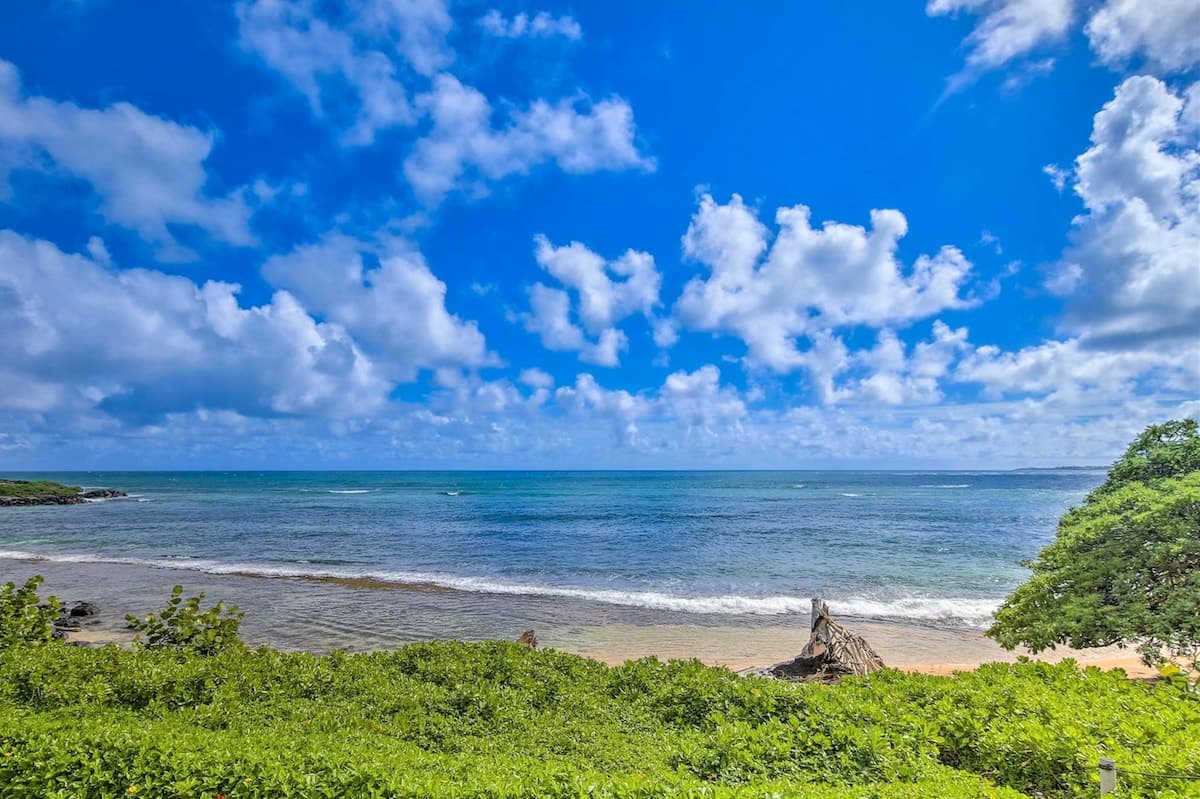 Condo in Kapaa · ★4.53 · Studio · 1 bed · 1 shared bath - Photo 1
