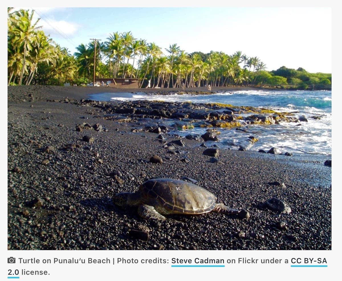 Hotel in Naalehu · ★5.0 · 1 bedroom · 1 bed · 1 private bath - Photo 2
