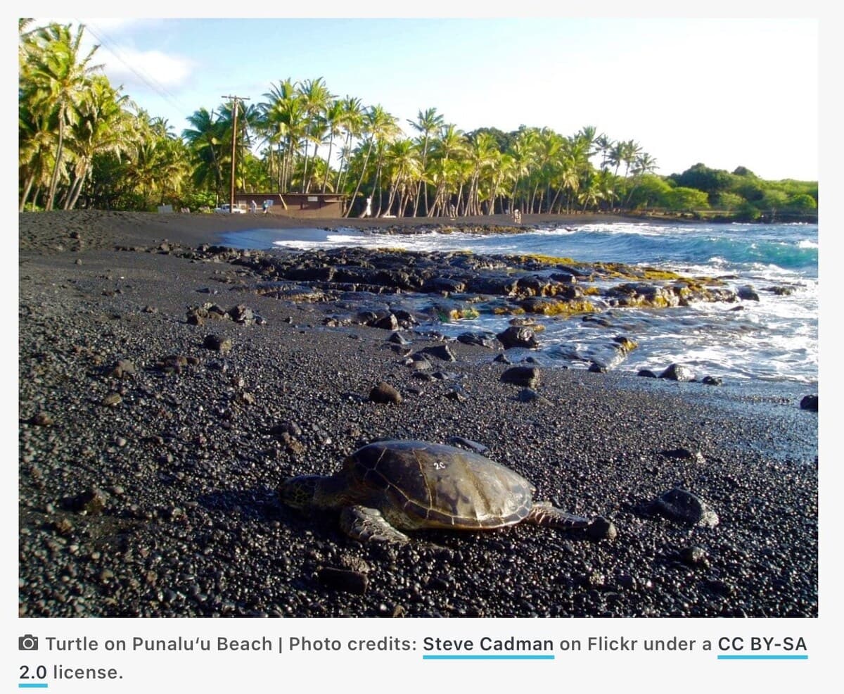 Hotel in Naalehu · ★4.75 · 1 bedroom · 2 beds · 1 private bath - Photo 2