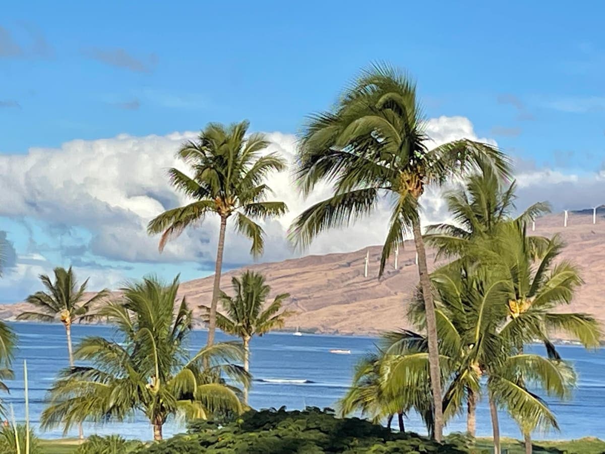 Condo in Kihei · ★4.56 · 1 bedroom · 2 beds · 2 private baths - Photo 1