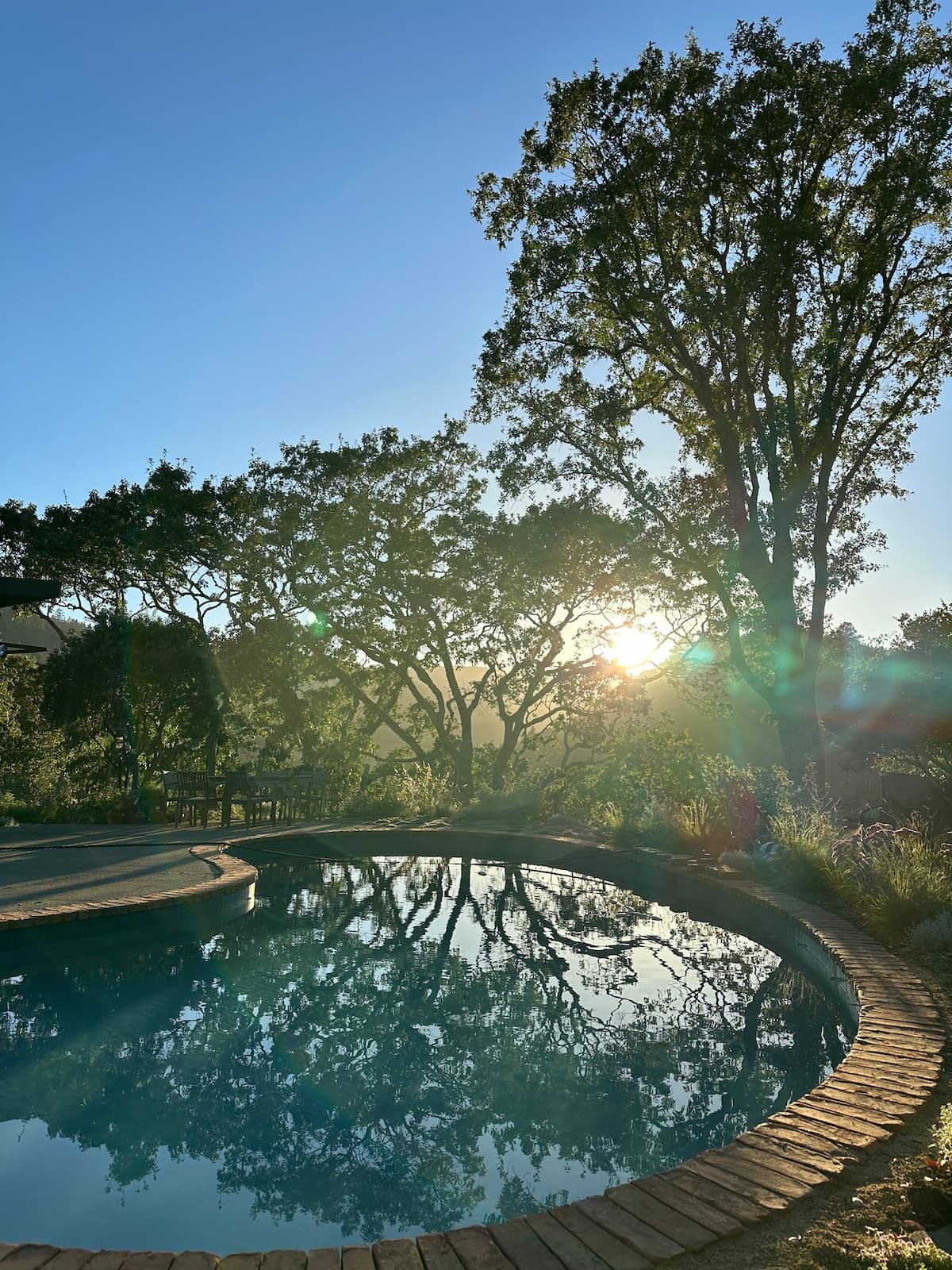 Sunny Canyon Home with Heated Pool, Near Mt Tam - Photo 4