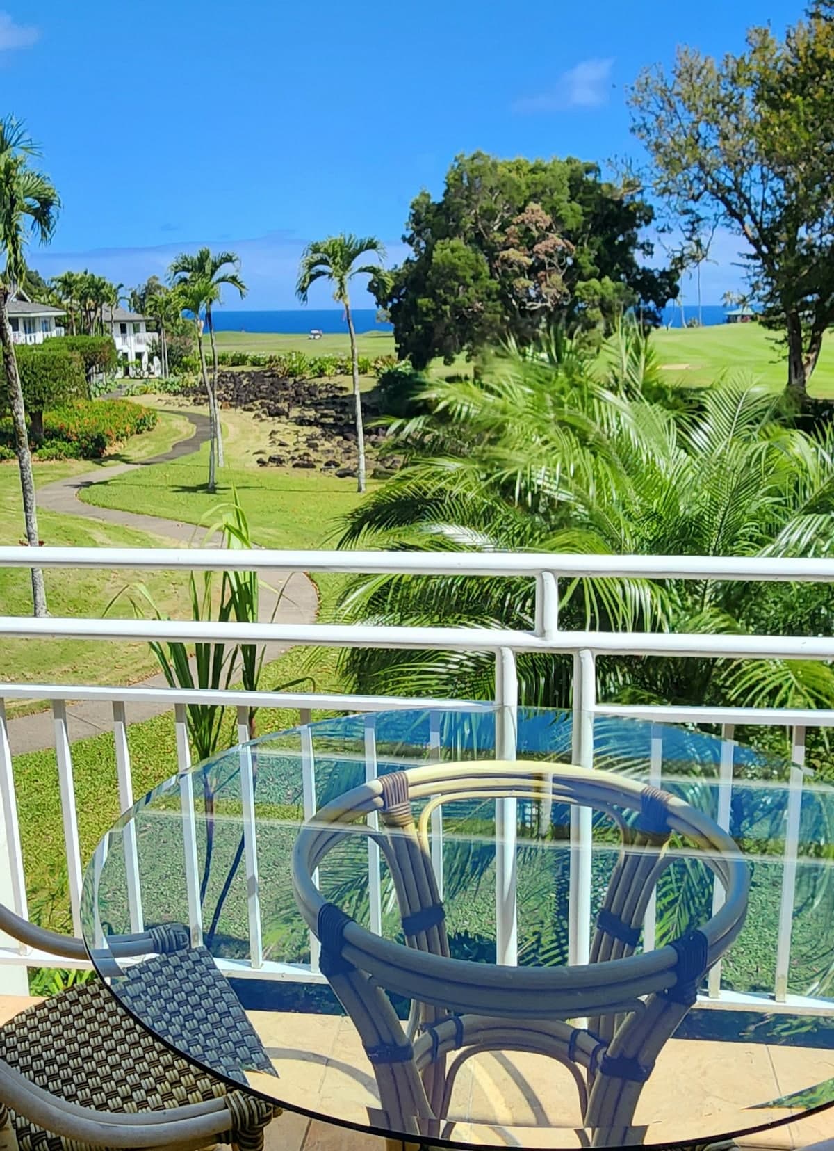 NEW! Paradise Oceanview with AC and Private Lanai - Photo 1