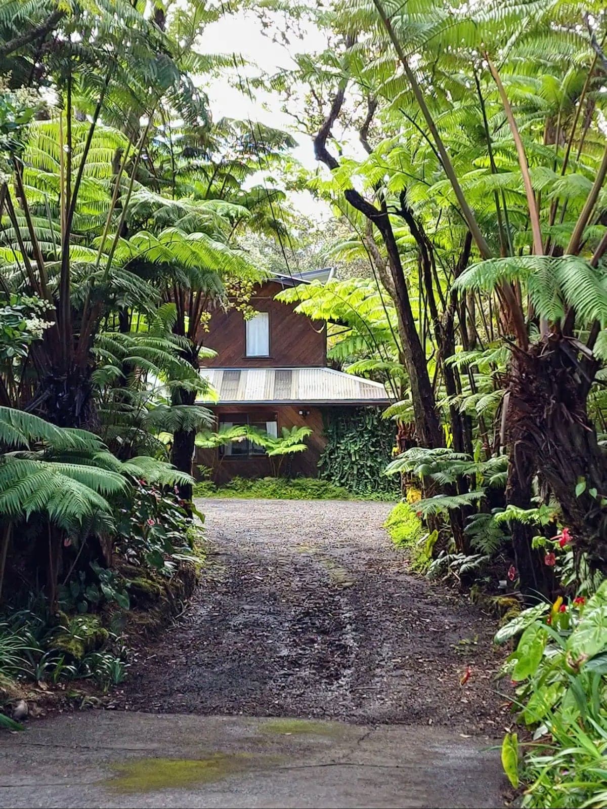 The Hapu’u Room - Photo 3