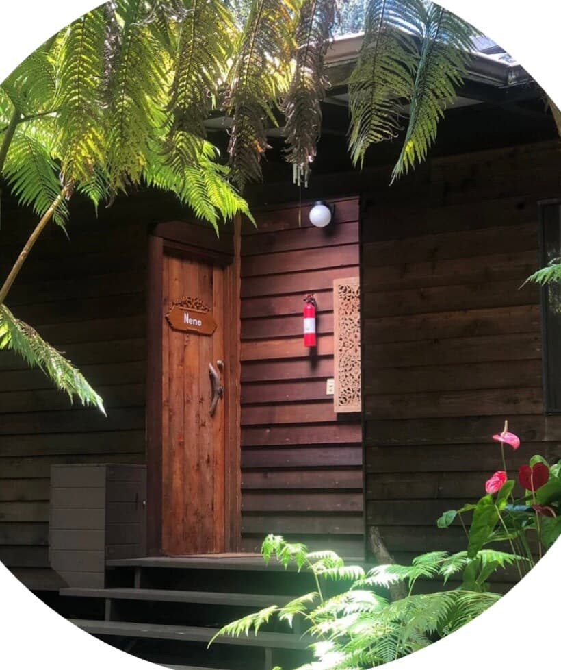Home in Volcano · ★5.0 · Studio · 1 bed · 1 private bath - Photo 4