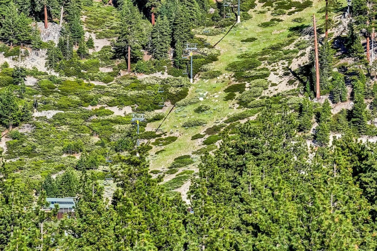 Cozy Cabin 3 Blocks from Heavenly Resort - Photo 2