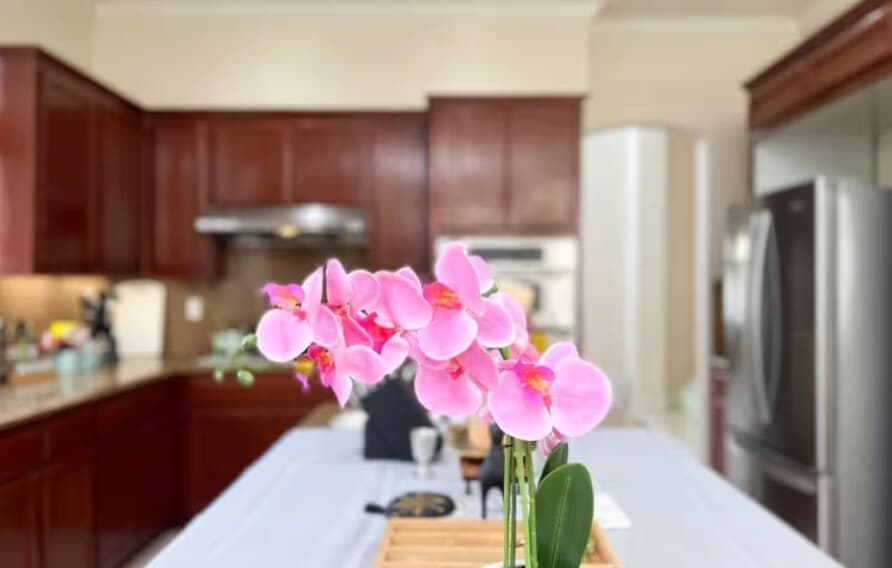 7BR San Jose Home with KTV, Pool Table & Fast WiFi - Photo 5