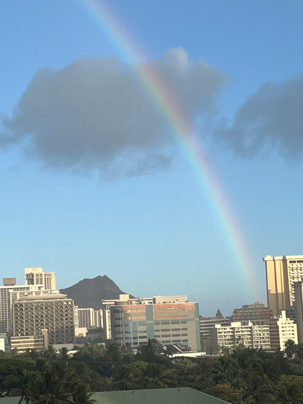 Waikiki Studio* Ocean View*Close To Beach - Photo 2