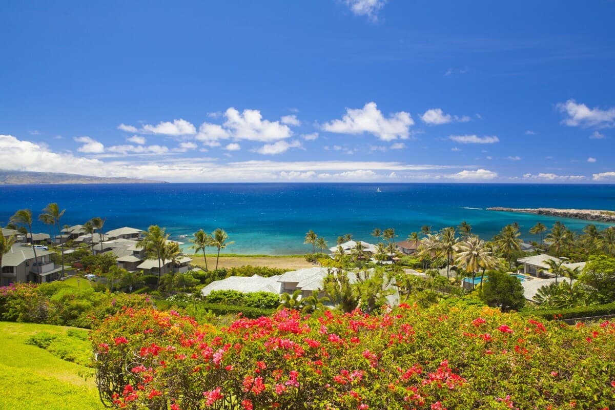Ridge 2214 Ocean Views Maui Dreams are Made of - Photo 3