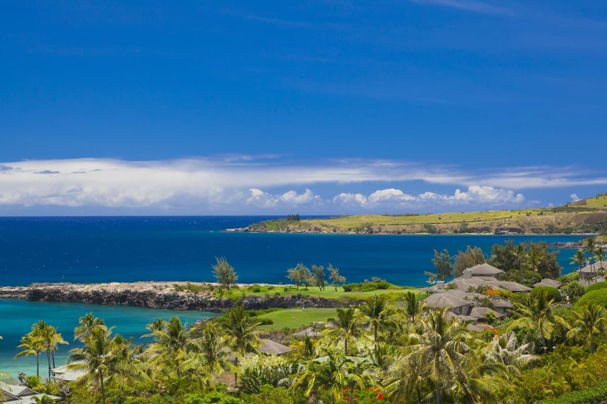Ridge 2214 Ocean Views Maui Dreams are Made of - Photo 4