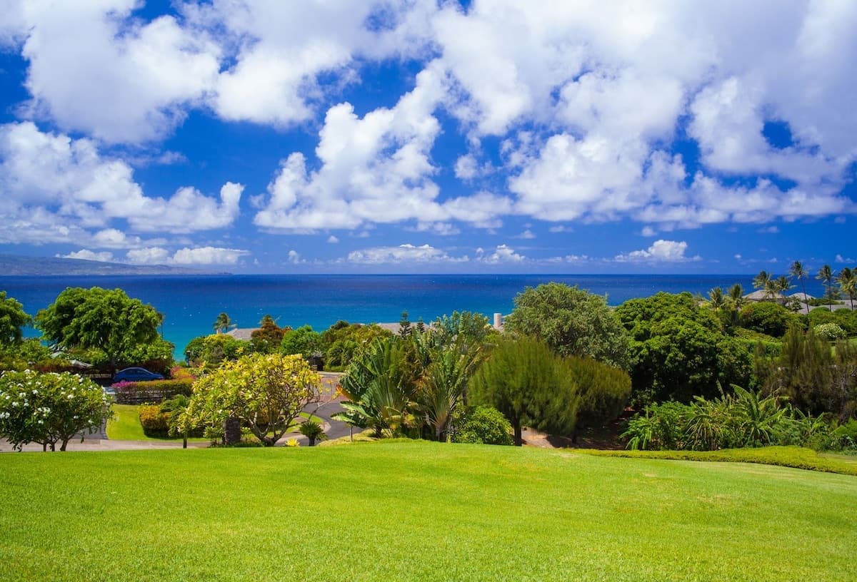 Kapalua Ridge 412- Stunning Ocean and Island Views - Photo 1