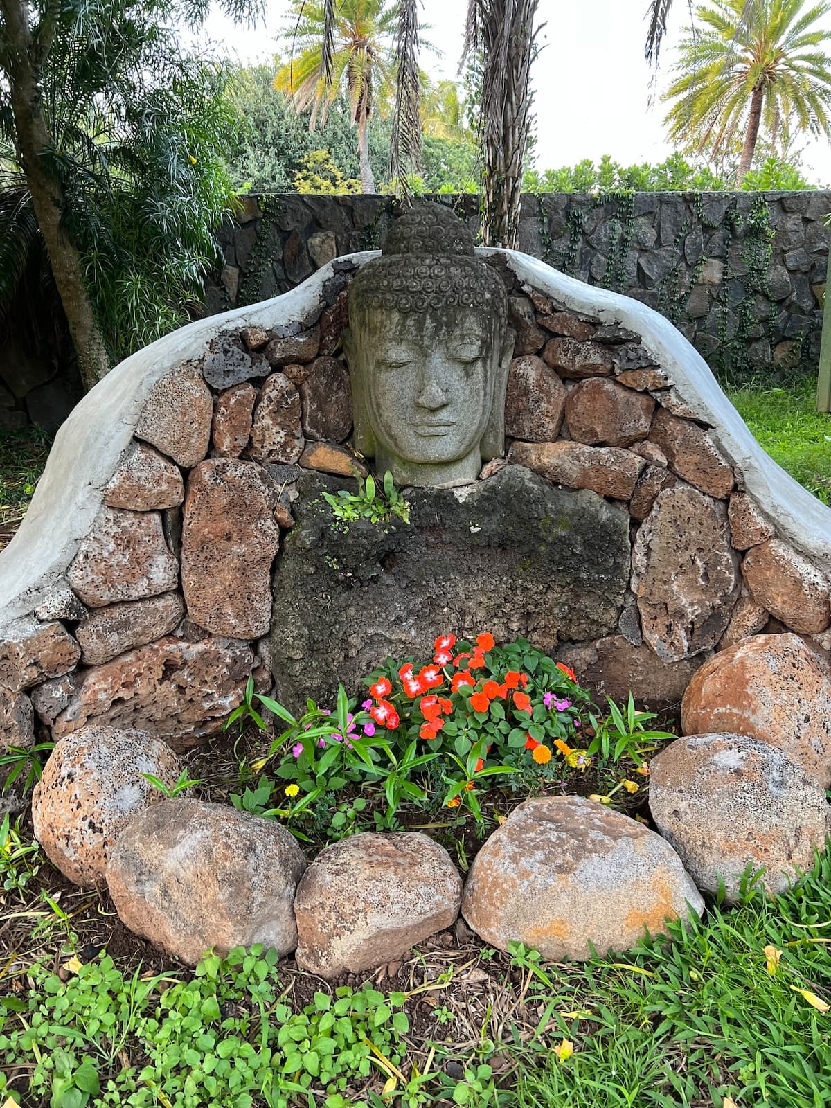 Ho'okipa Rose - Peace and Serenity - Photo 2