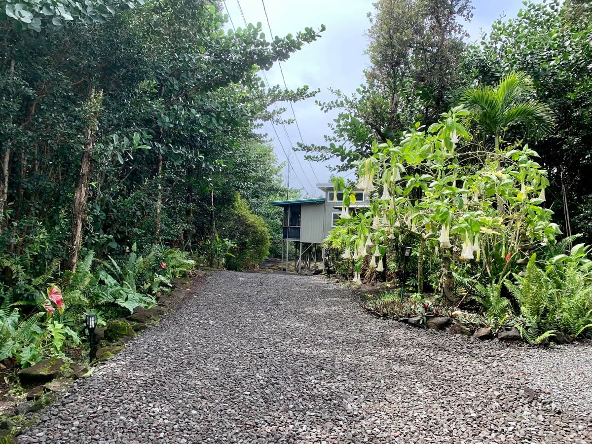 Simply Paradise - walk to Ocean Cliffs - Photo 5