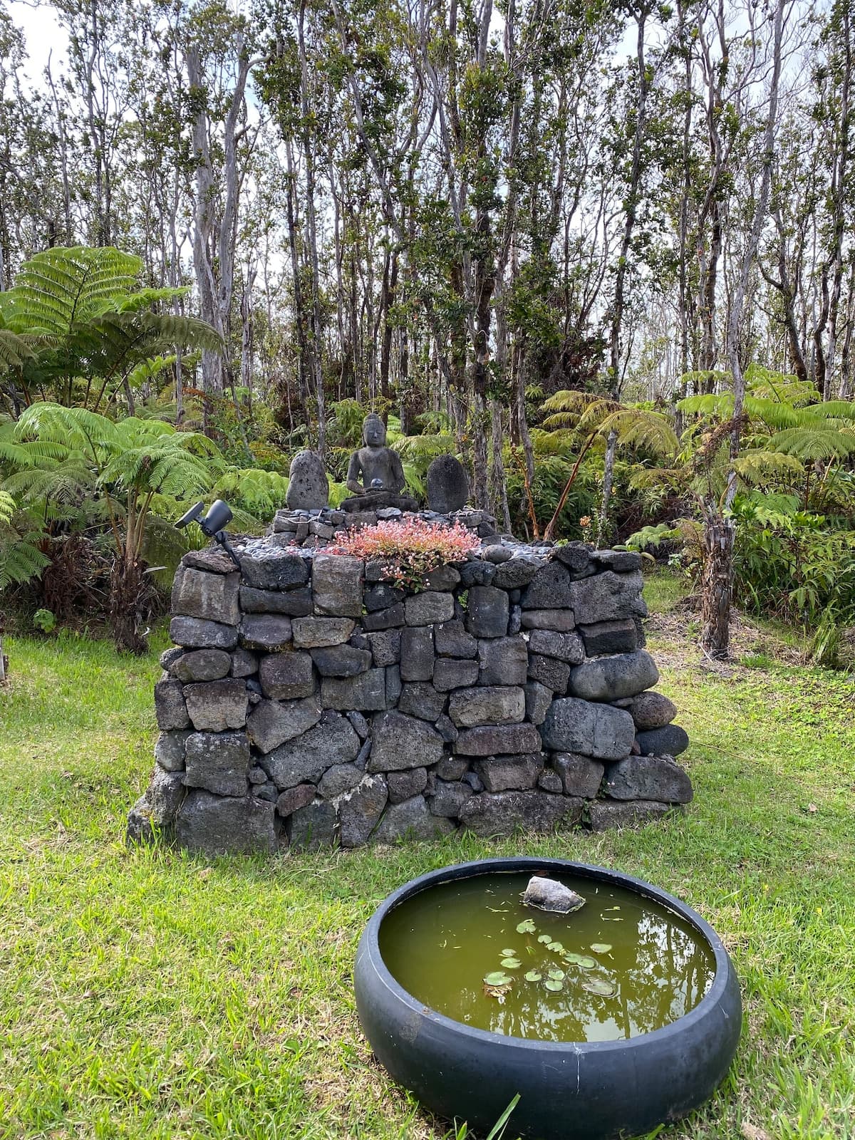Home in Volcano · ★4.99 · 2 bedrooms · 2 beds · 2 private baths - Photo 3