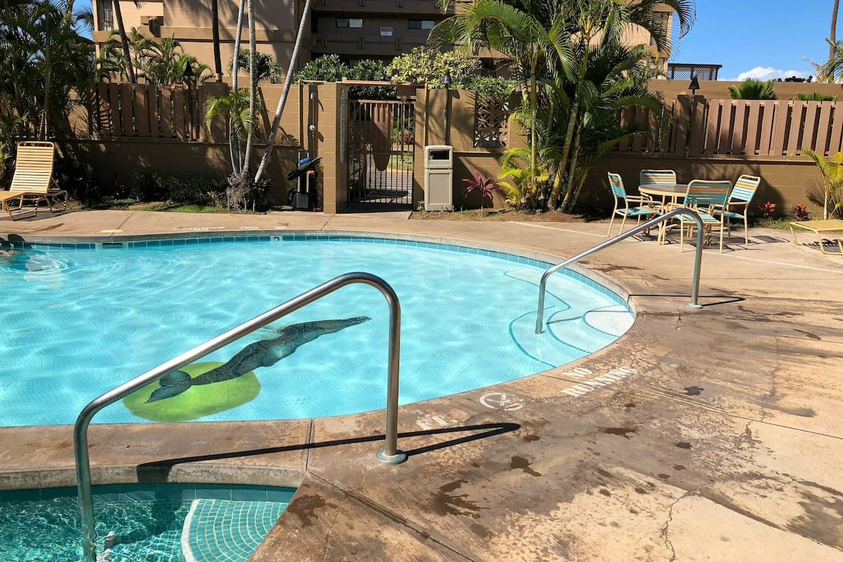 Condo in Lahaina · ★4.45 · 2 bedrooms · 4 beds · 2 shared baths - Photo 2