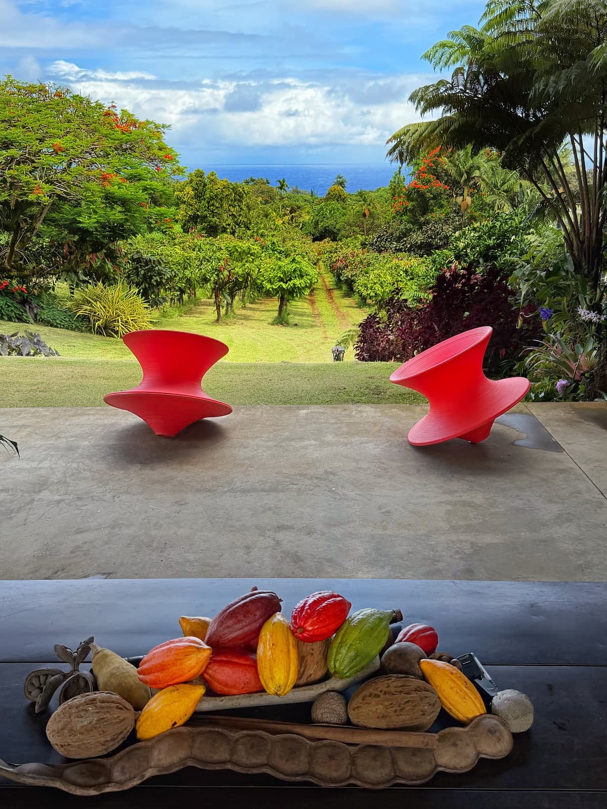 Hilo Bay Room at the Hamakua Chocolate Farm - Photo 3