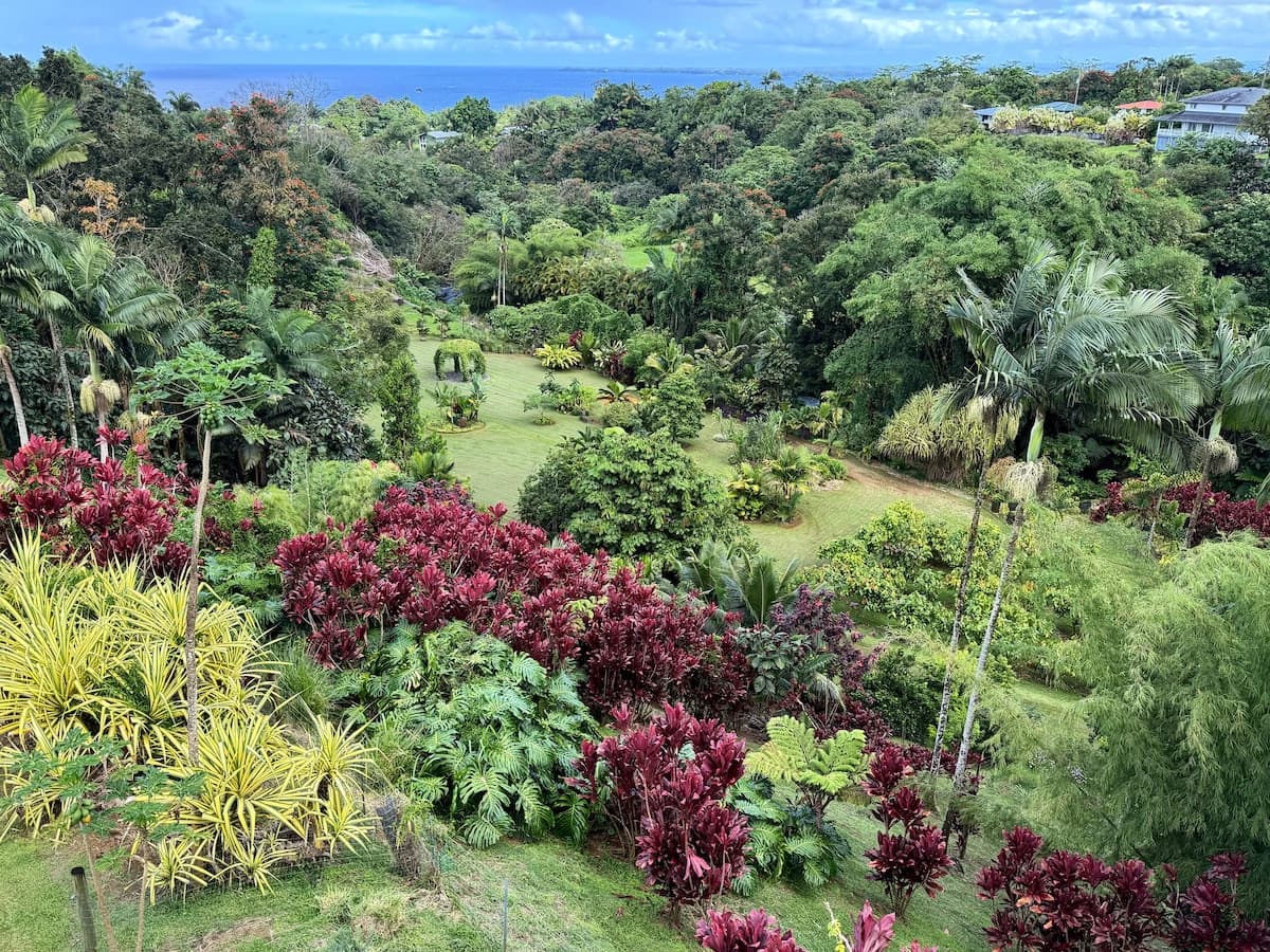 Hilo Bay Room at the Hamakua Chocolate Farm - Photo 5