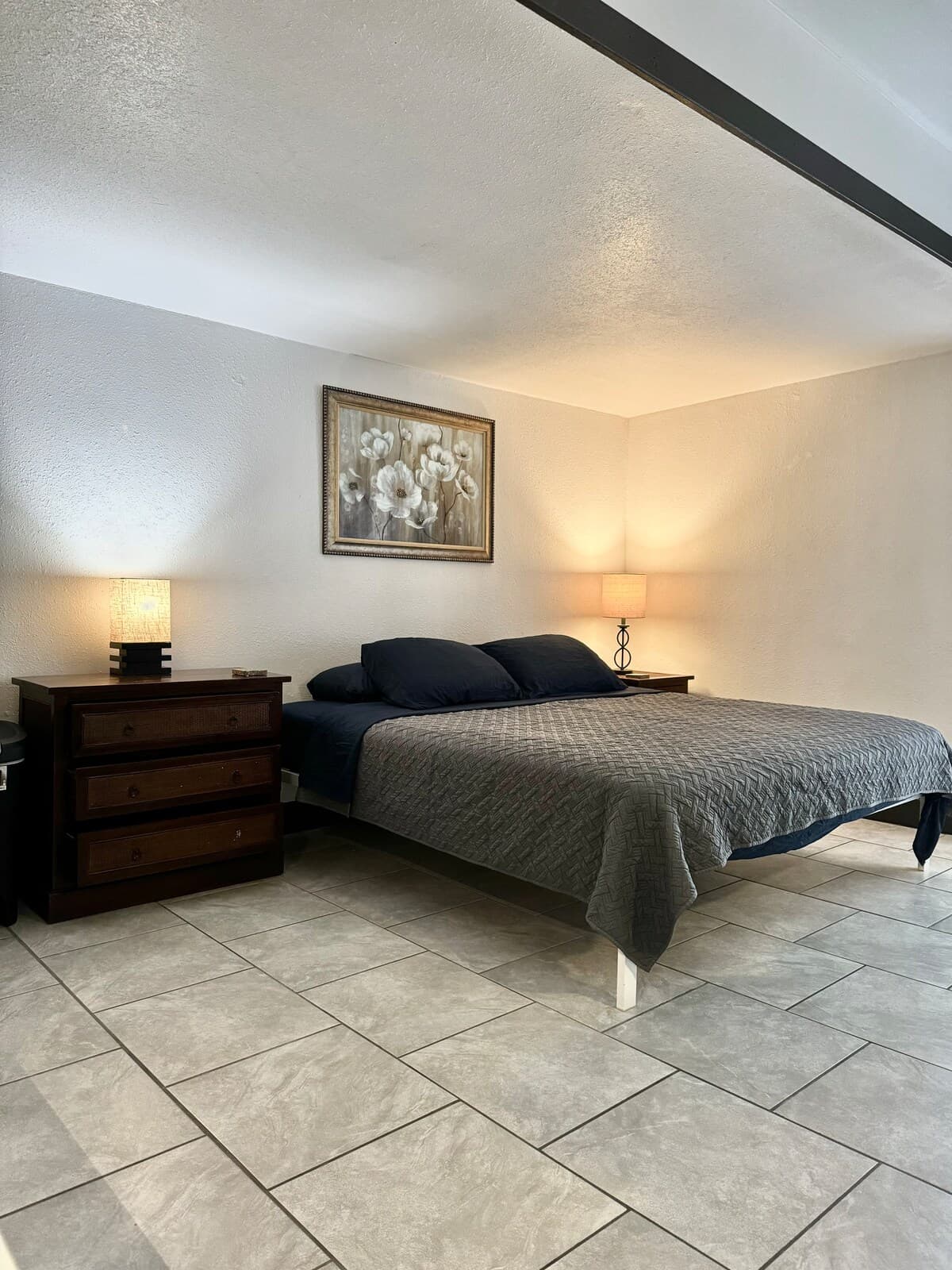 Studio Suite with Open floor plan - Photo 2
