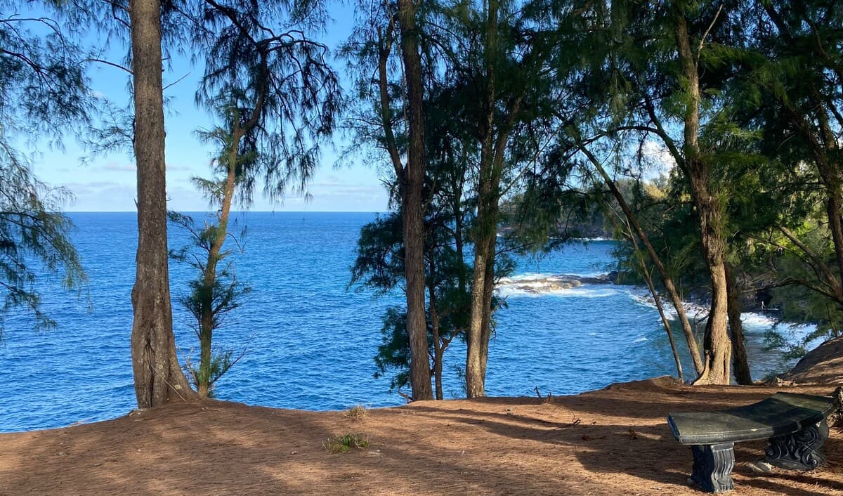 HO‘OKIPA COTTAGE - Ocean Views, Private & Comfort! - Photo 5
