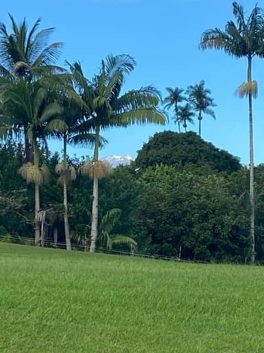 HO‘OKIPA COTTAGE - Ocean Views, Private & Comfort! - Photo 4