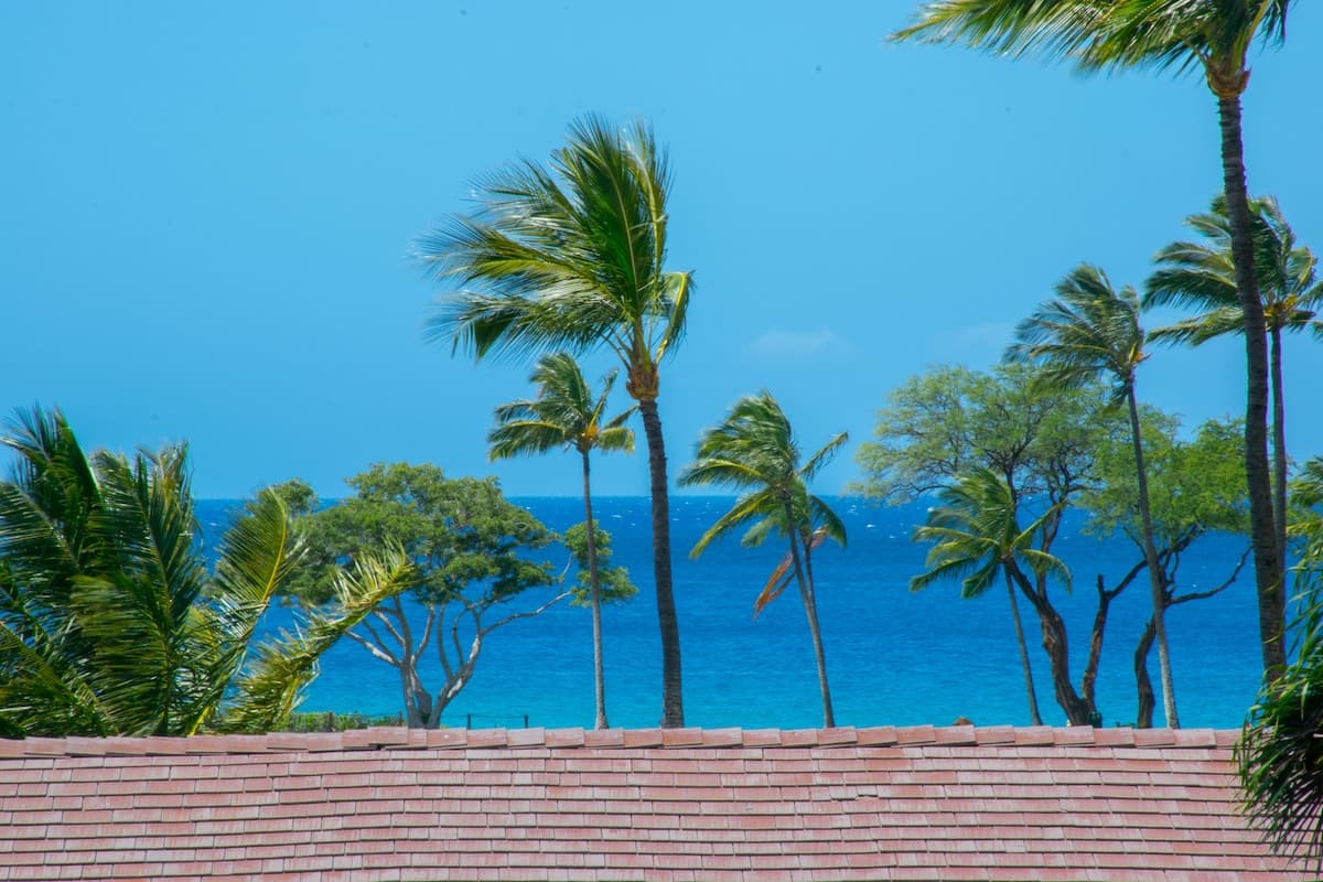 Condo in Kaanapali · ★4.9 · 2 bedrooms · 3 beds · 2 baths - Photo 3