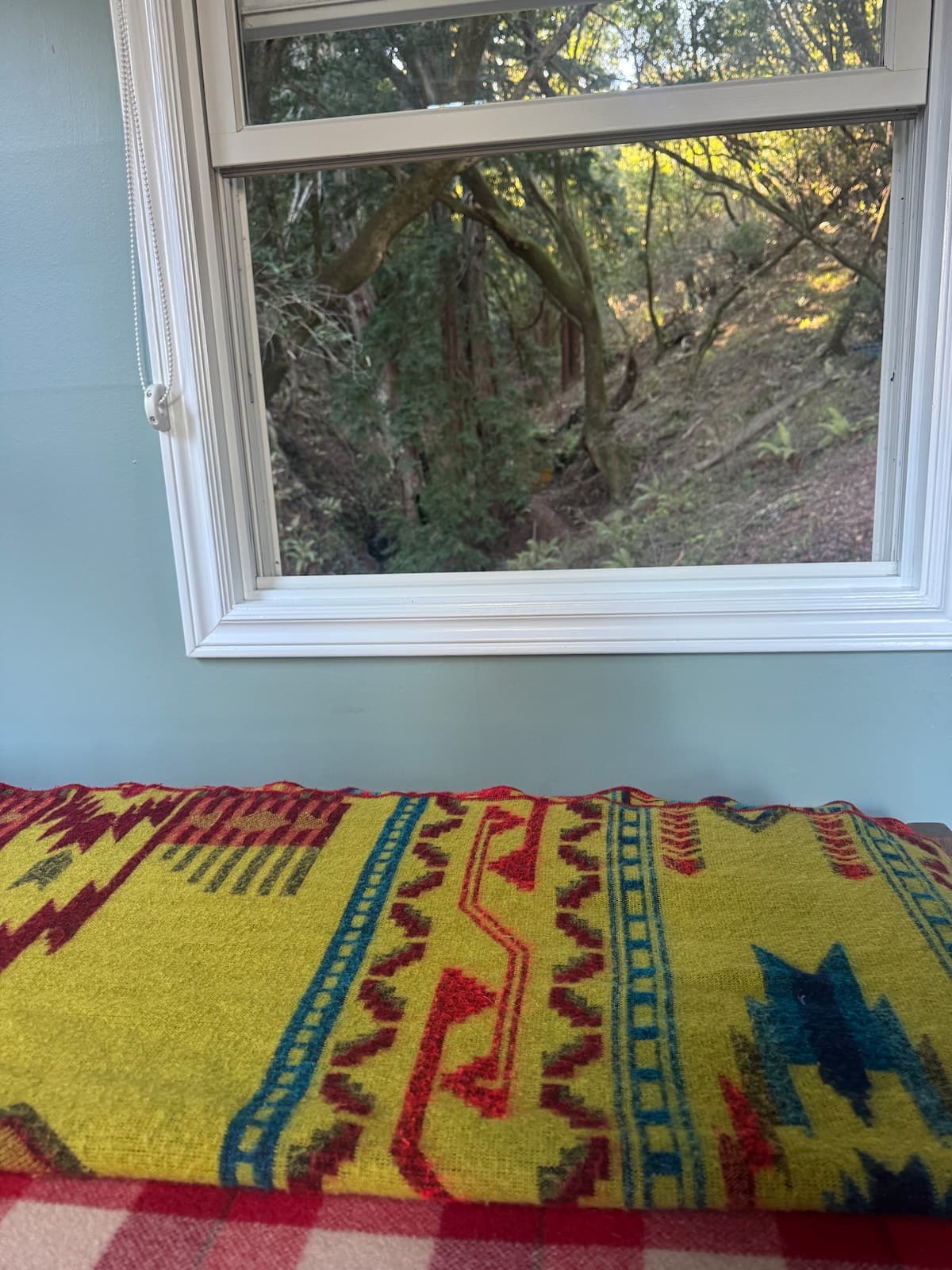 Lightworks Treehouse Sauna & Mt. Tam Views - Photo 5