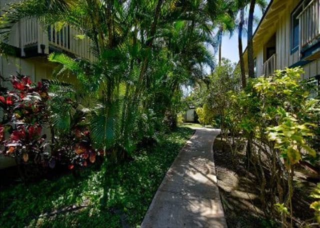 Condo in Koloa · ★4.63 · 2 bedrooms · 3 beds · 2 private baths - Photo 2