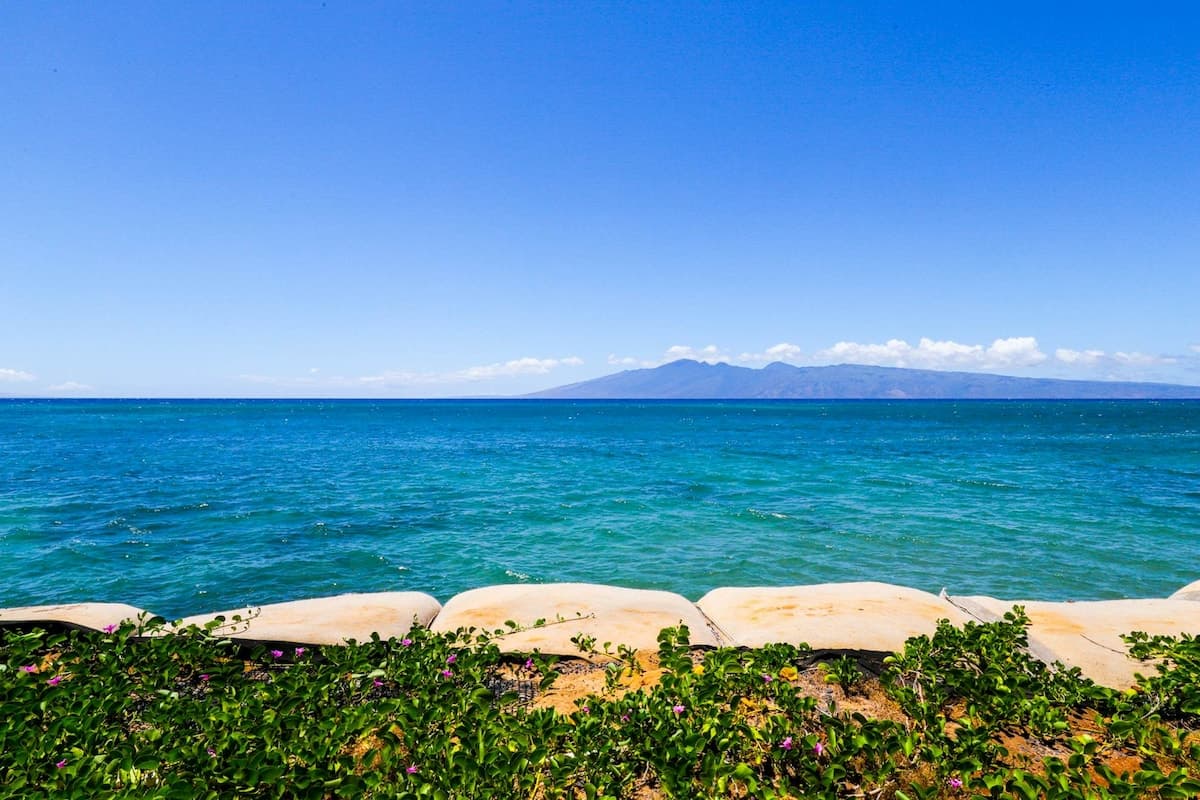 Condo in Lahaina · ★4.79 · 2 bedrooms · 2 beds · 2 shared baths - Photo 3