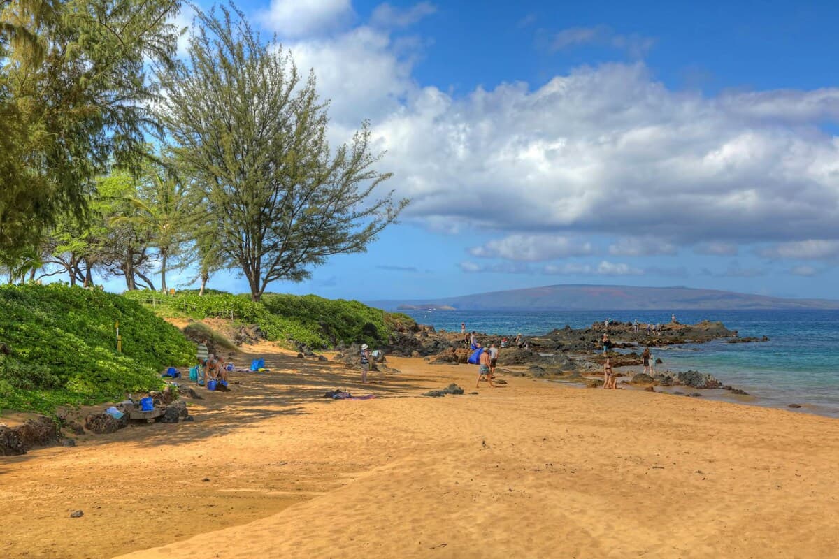 Condo in Kihei · ★4.75 · 1 bedroom · 1 bed · 1 shared bath - Photo 4