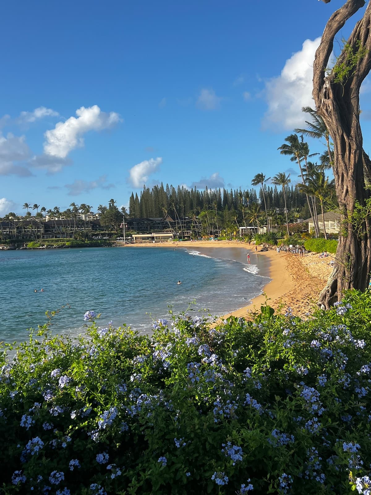 Resort in Lahaina · ★4.85 · Studio · 2 beds · 1 private bath - Photo 1