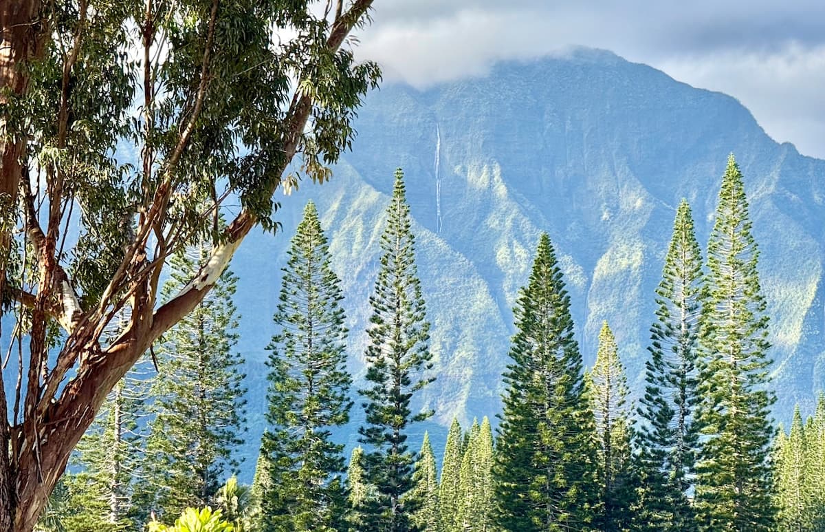 Condo in Princeville · ★4.91 · 3 bedrooms · 3 beds · 3 private baths - Photo 5
