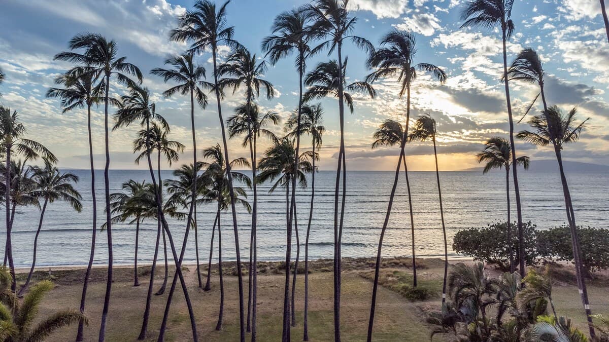 Home in Kihei · ★4.83 · 5 bedrooms · 4 beds · 5 baths - Photo 4