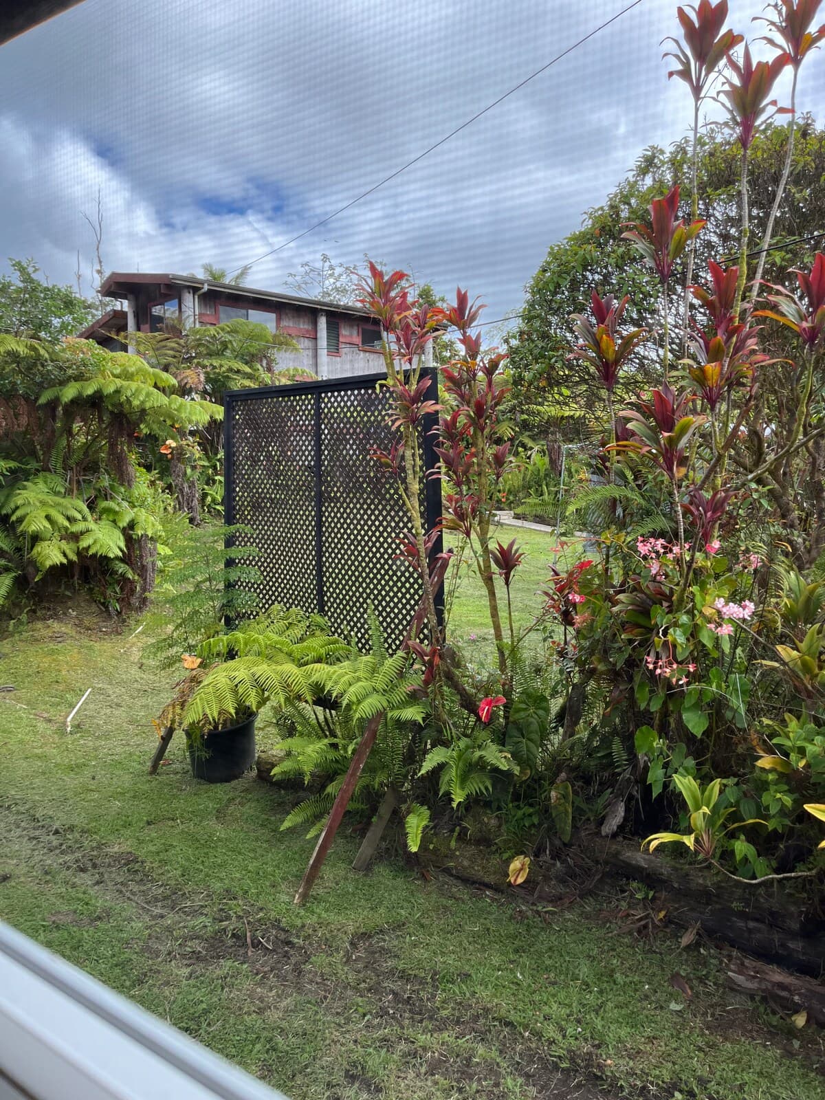 Guesthouse in Pahoa · ★4.97 · 1 bedroom · 1 bed · 1 private bath - Photo 4
