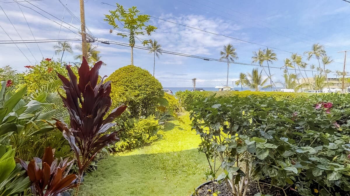 Condo in Kailua-Kona · ★4.92 · 1 bedroom · 1 bed · 1 bath - Photo 5