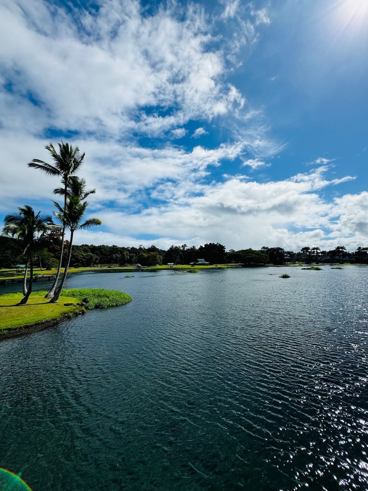 Condo in Hilo · ★4.6 · Studio · 1 bed · 1 private bath - Photo 4
